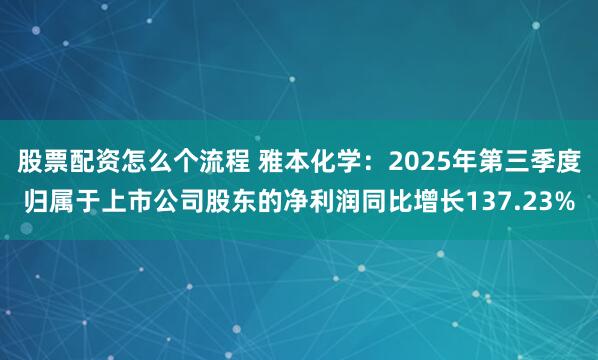 股票配资怎么个流程 雅本化学：2025年第三季度归属于上市公司股东的净利润同比增长137.23%