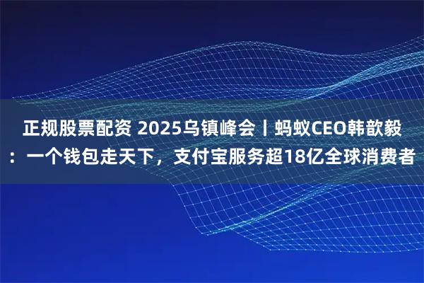正规股票配资 2025乌镇峰会丨蚂蚁CEO韩歆毅：一个钱包走天下，支付宝服务超18亿全球消费者