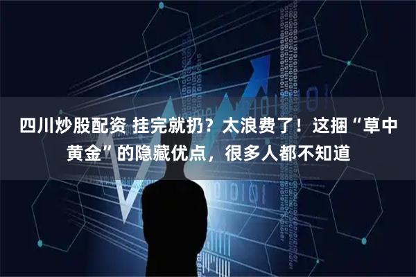 四川炒股配资 挂完就扔？太浪费了！这捆“草中黄金”的隐藏优点，很多人都不知道